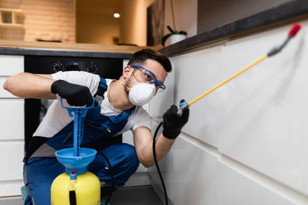 Best Flea Control Services  in Hollywood, FL