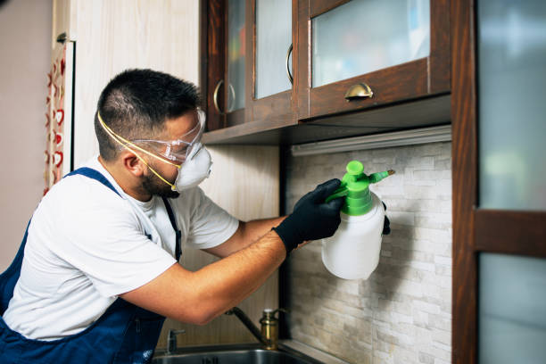 Professional Pest Control in Hollywood, FL
