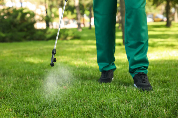 Best Rat Extermination Near Me  in Hollywood, FL