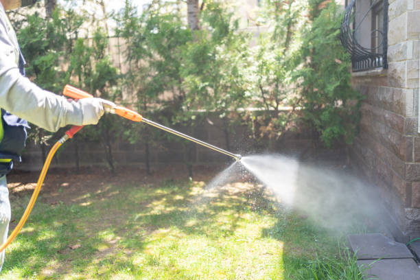 Best Best Pest Control Companies  in Hollywood, FL